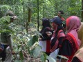 Tn 0453 DSC 5766